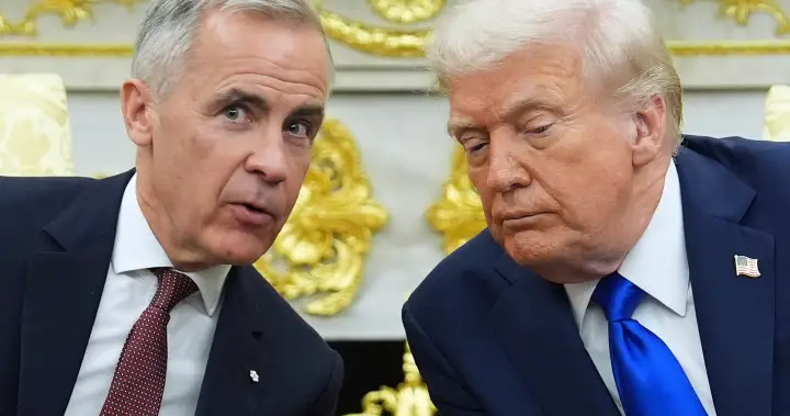 ‘We can’t run our businesses’: Canadian companies react to U.S. tariffs - National | Globalnews.ca